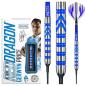 Preview: Red Dragon GERWYN PRICE 'Iceman' Originals - 20 Gramm