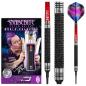 Preview: Red Dragon PETER WRIGHT 'Snakebite' Melbourne Masters - 22 Gramm