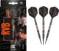 Preview: Target RAYMOND VAN BARNEVELD RVB 80% BLACK 2023 - 18 Gramm