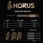 Preview: Mission HORUS - 21 Gramm