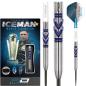 Preview: Red Dragon GERWYN PRICE 'Iceman' AVALANCHE PRO - 21 Gramm