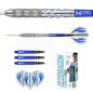 Preview: Red Dragon GERWYN PRICE 'Iceman' Element - 24 Gramm