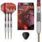 Preview: Target STEPHEN BUNTING - G5 Swiss Point - 22 Gramm