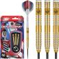 Preview: Winmau DARYL GURNEY - 23 Gramm