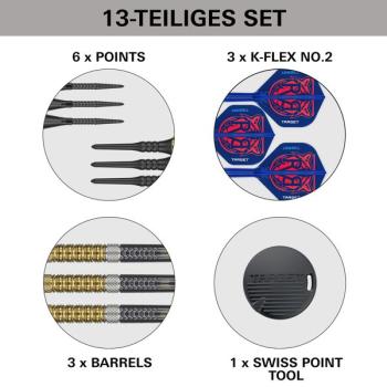 Target RAYMOND VAN BARNEVELD 95 % - GEN 6 - 18 Gramm