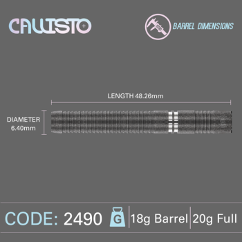 Preview: Winmau CALLISTO - 1 - 20 Gramm