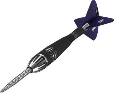 Preview: Target PHIL TAYLOR POWER 9FIVE G10 - 22 Gramm