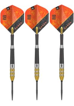 Preview: Target RAYMOND VAN BARNEVELD RVB 95 G4 Swiss Point - 21 Gramm