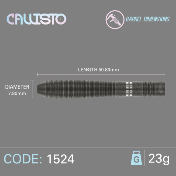 Preview: Winmau CALLISTO - 2 - 23 Gramm
